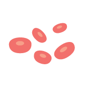 血液
