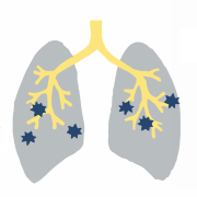 肺が線維化するとどうなるの？線維化の仕組みや原因について